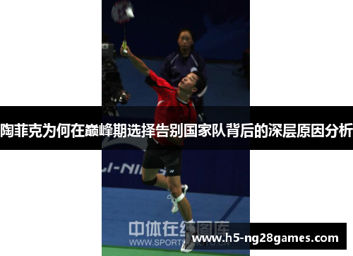 陶菲克为何在巅峰期选择告别国家队背后的深层原因分析